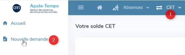 cet_nouvelle_demande.jpg